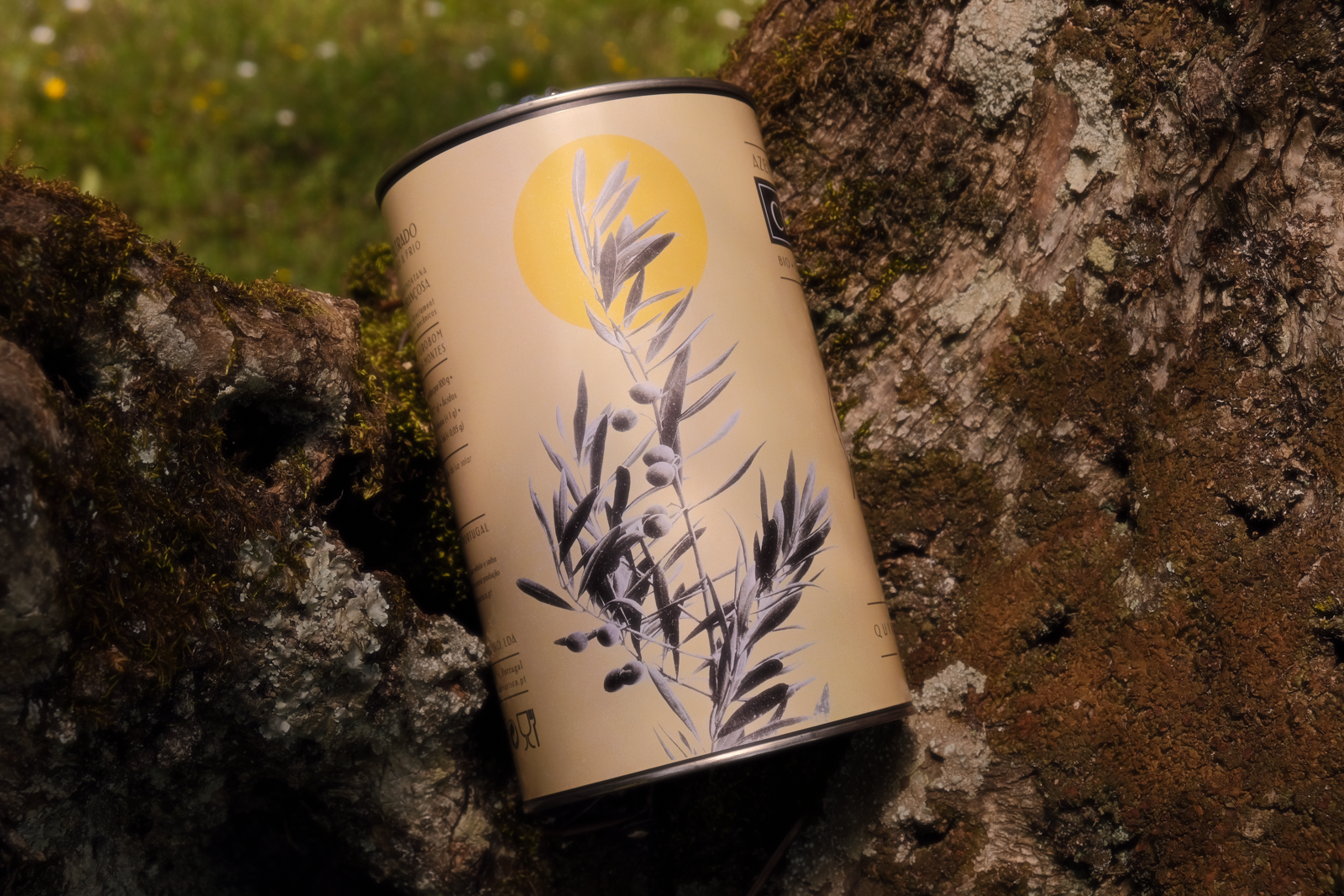 Classic Organic Extra Virgin Olive Oil 2 L – Quinta Mourisca do