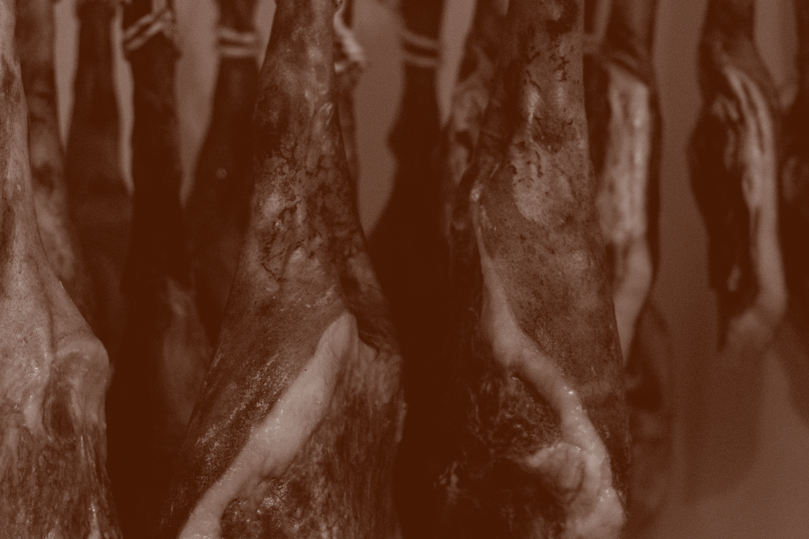 Presunto de Porco Bísaro: tempo, origem e a arte de curar devagar