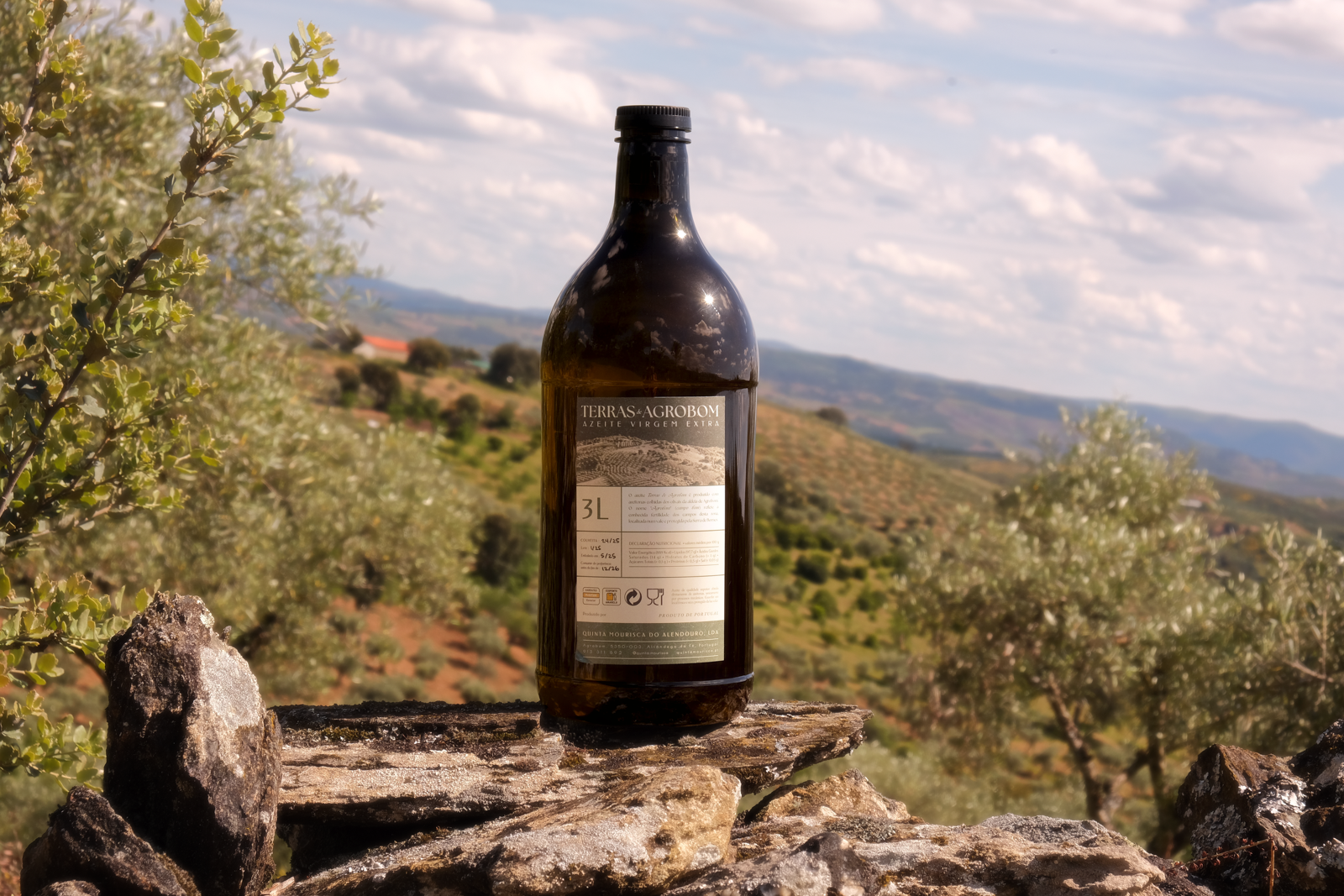 Azeite Terras de Agrobom na Quinta