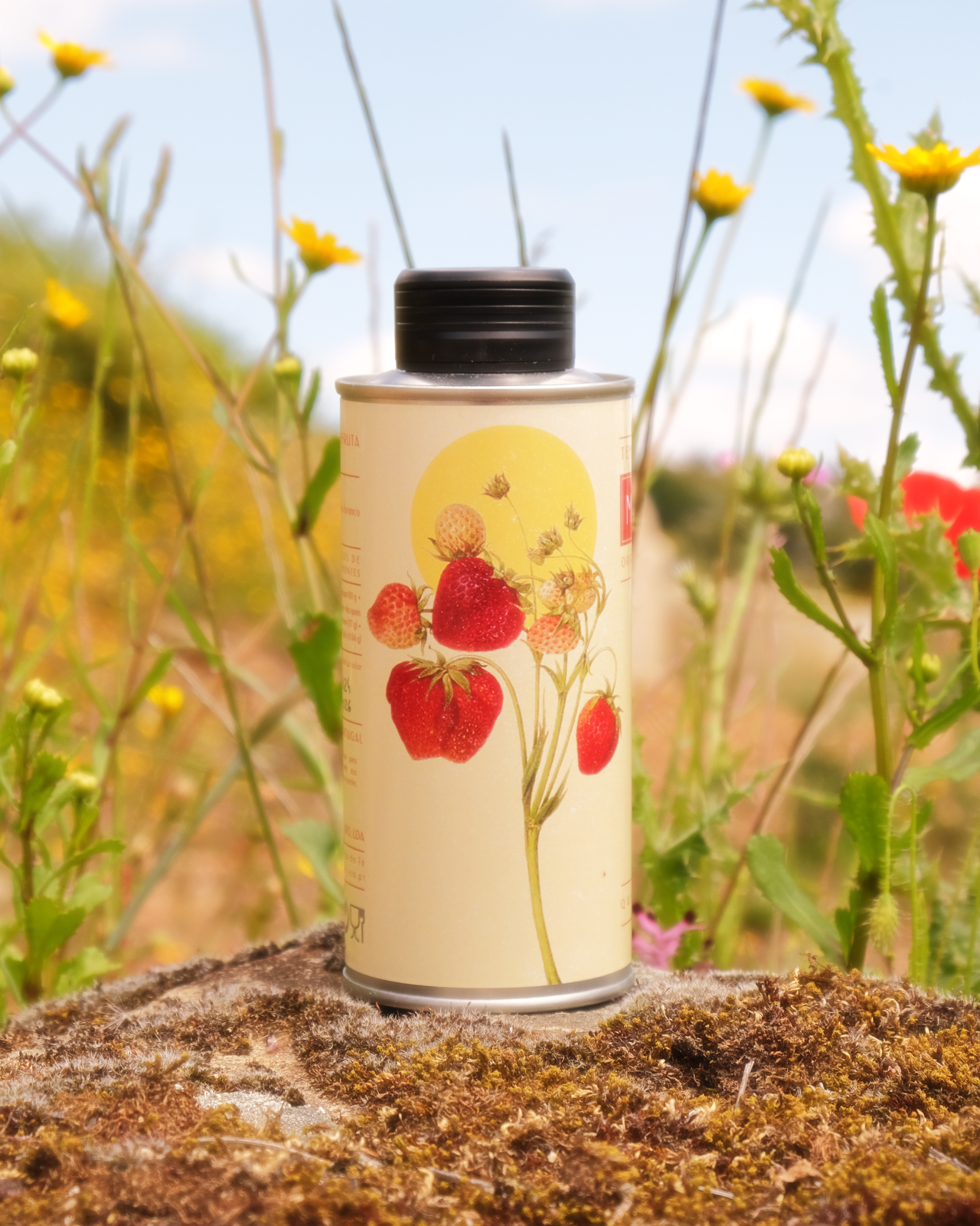 Tempero de morango na quinta