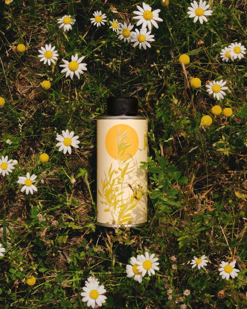 Garrafa de azeite biológico Madural 0.25L Quinta Mourisca